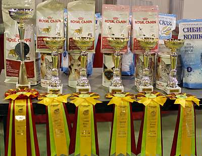 �������� ����� '���-�����-��������' 20-21 �������� 2014 169A2094 copy.jpg